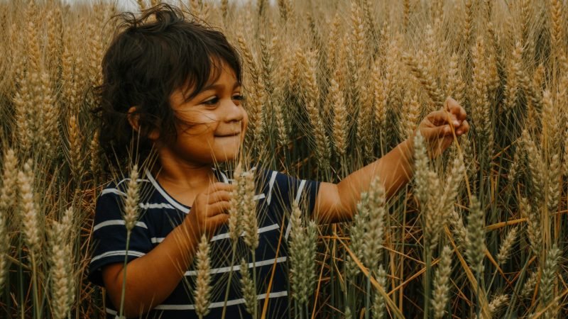 Organic T-shirts for kids